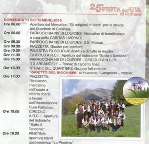 Collinaia2016