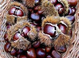 rass_castagne